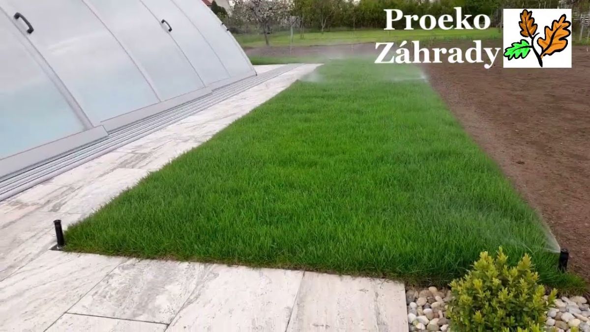 Úprava okolia bazéna: Praktické tipy a technické detaily