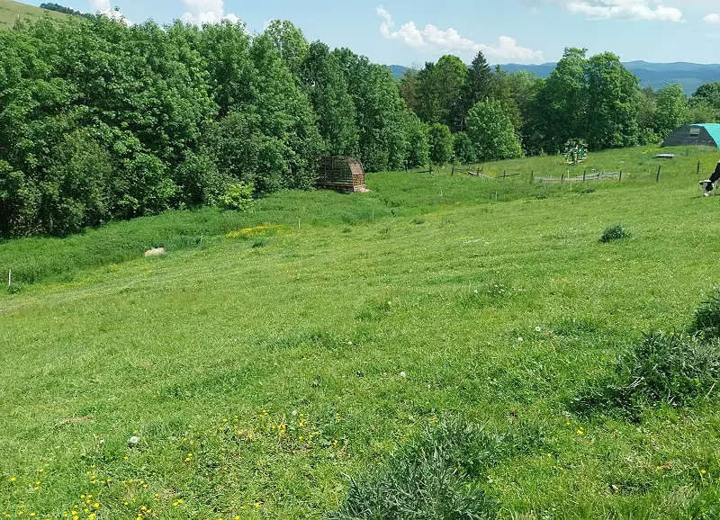 Predám pozemky vo vojňanoch – foto 2