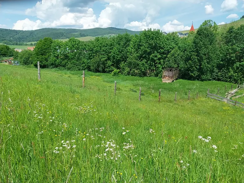 Predám pozemky vo vojňanoch – foto 6