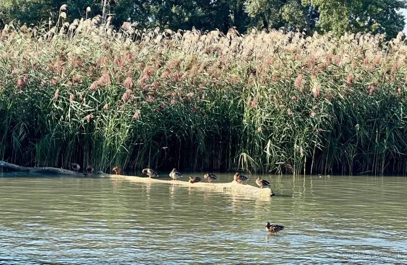 Kúpte si štýlový hausbót – foto 15