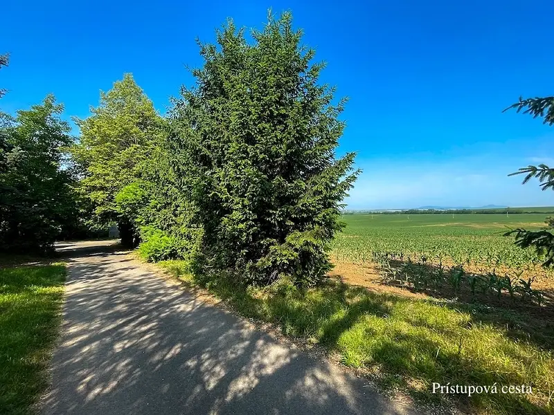 Viničný dom s Vinohradom na predaj, Melek – foto 16