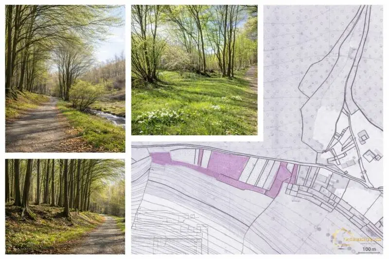 Rekreačný pozemok Priepasné – Košariská, 12 214 m² – foto 11