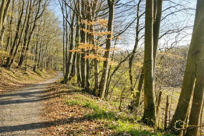Rekreačný pozemok Priepasné – Košariská, 12 214 m² – foto 2