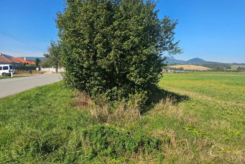 Stavebný pozemok 1 123 m² – Slavnica (okres Ilava) – foto 5