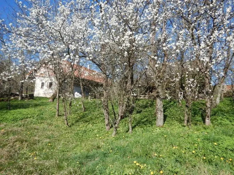 Predaj stavebného pozemku Myjavské kopanice – foto 4