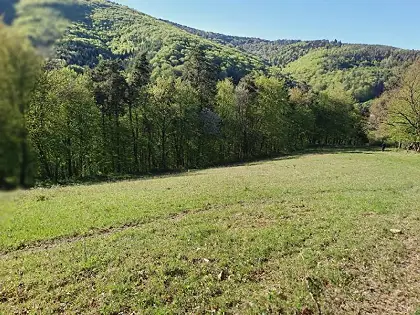 Rekreačný pozemok