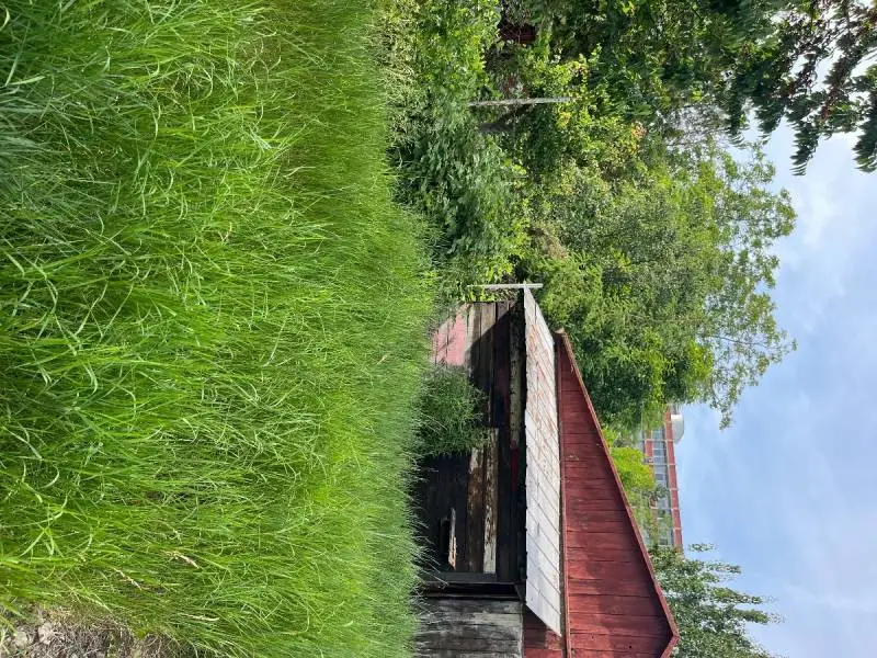 Záhrada – foto 17