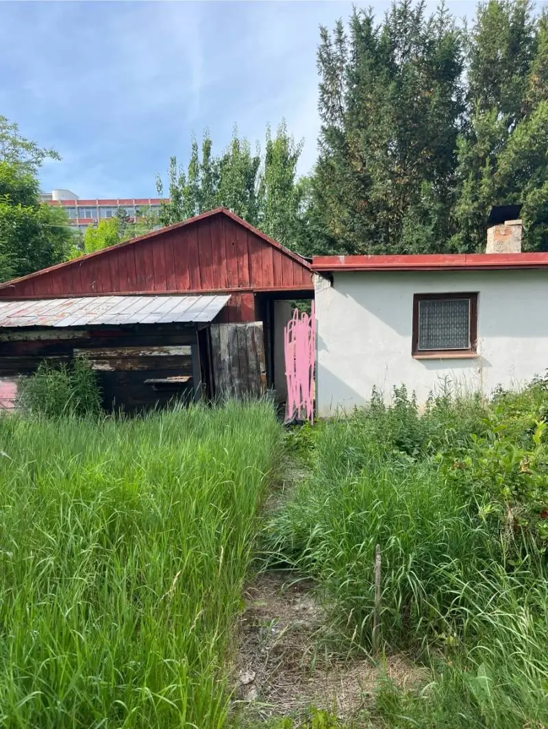 Záhrada – foto 18