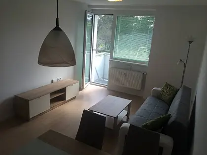 Na prenájom 1,5-izbový byt – Ružinovská ulica Ponúkame na prenájom 1,5-izbový byt s výmerou 45 m² v