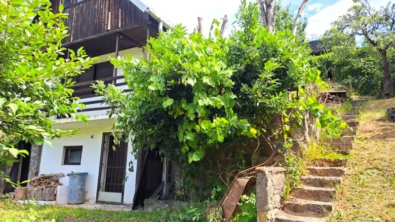 Záhrada s chatkou - Hájik, Zvolen – foto 3