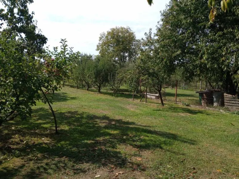 Rodinný dom s pozemkom v obci Kučín – foto 8