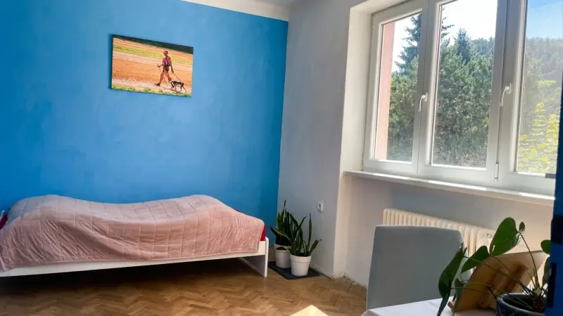 Ponúkame na predaj priestranný 3-izbový byt, Kremnica. – foto 6