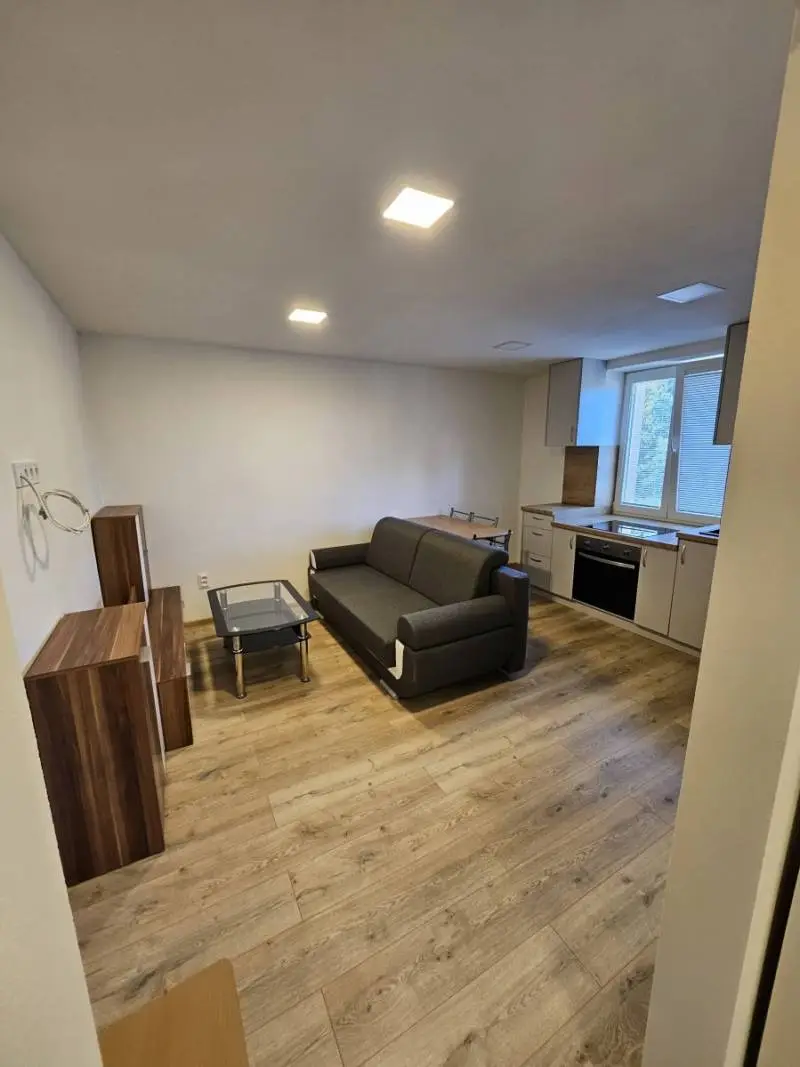1-izb. Byt po kompletnej rekonštrukcii - 29. Augusta Handlová – foto 6