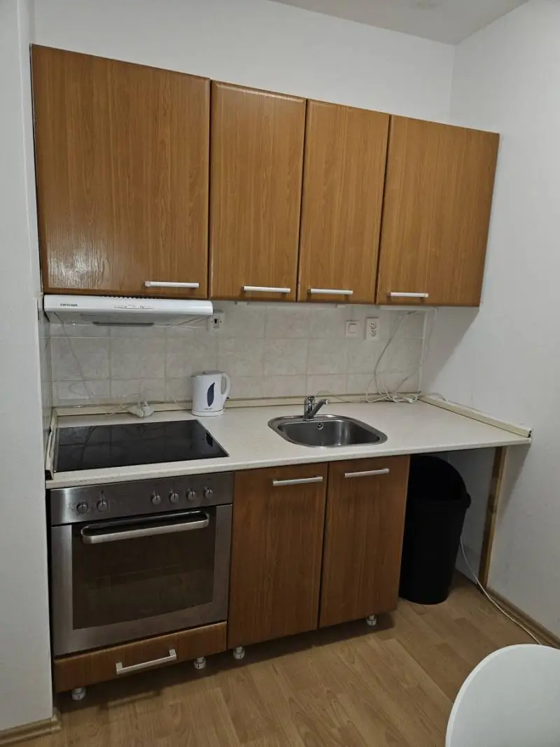 Prenajmem 1-izbovy zariadeny byt s balkonom (47 m²) s vyhladom do zeleneho parku na Papradovej – foto 3