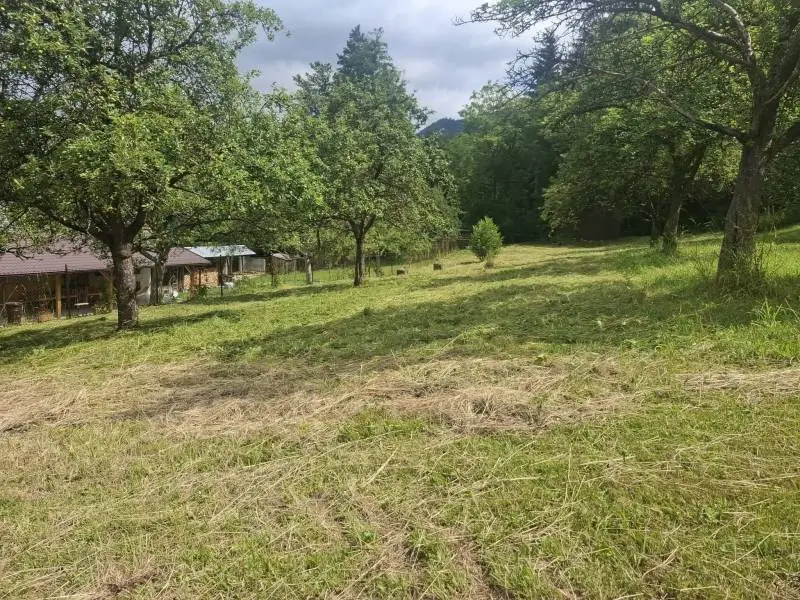Na predaj dva pozemky v chatárskej oblasti Drahy, Považská Bystrica – foto 3