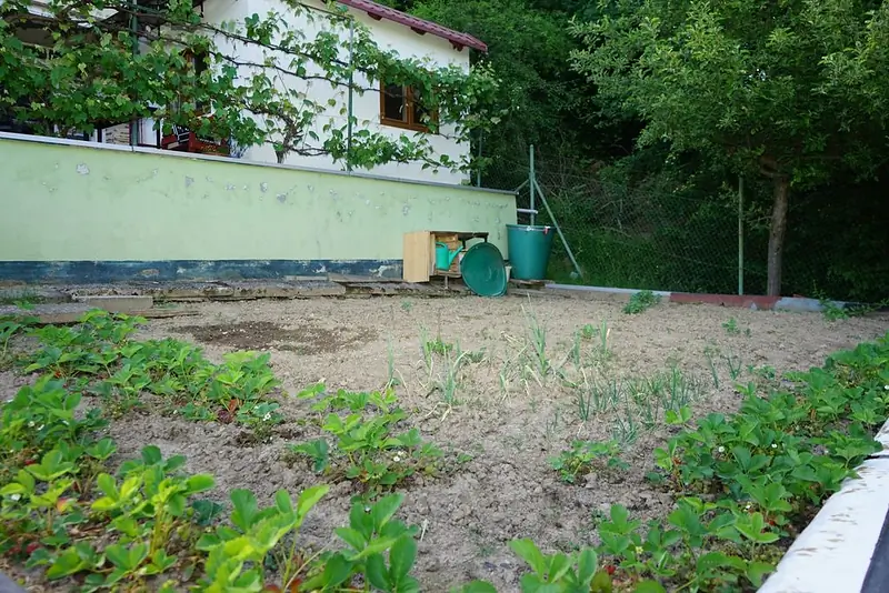 TOP chata s Krásnou záhradou na okraji Osady, BB – foto 6