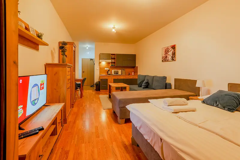 Apartmán s 1 miestnosťou – foto 2