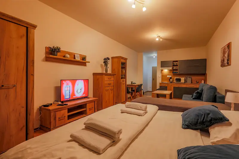 Apartmán s 1 miestnosťou – foto 6