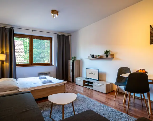 Apartmán s 1 miestnosťou – foto 7