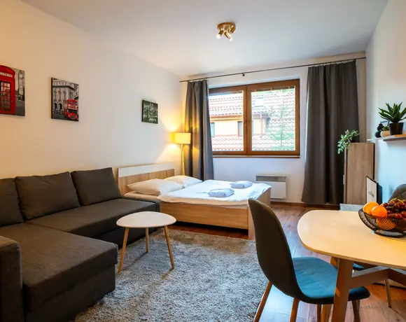 Apartmán s 1 miestnosťou – foto 9