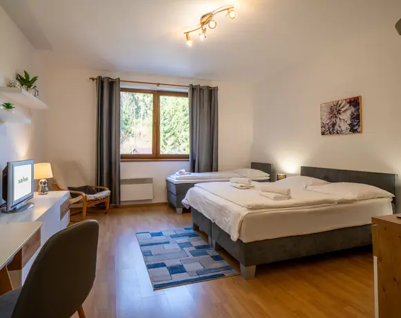 Apartmán v Hrabovskej doline s 1 miestnosťou na 3. Poschodí – foto 4